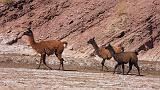 BOLIVIA 2 - Cordillera de Los Frailes - 10